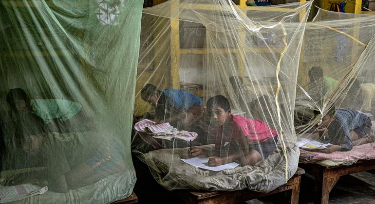 印度：深入恰蒂斯加尔偏远地区，为疟疾高危人群提供援助