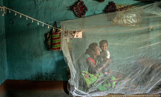 Resistência a medicamentos coloca em risco avanços para conter malária