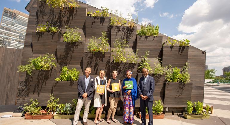 联合国常务副秘书长阿明纳1穆罕默德（右二）参观在纽约联合国总部展出的生态生活模式，该模式展现了生态友好型经济适用房。资料