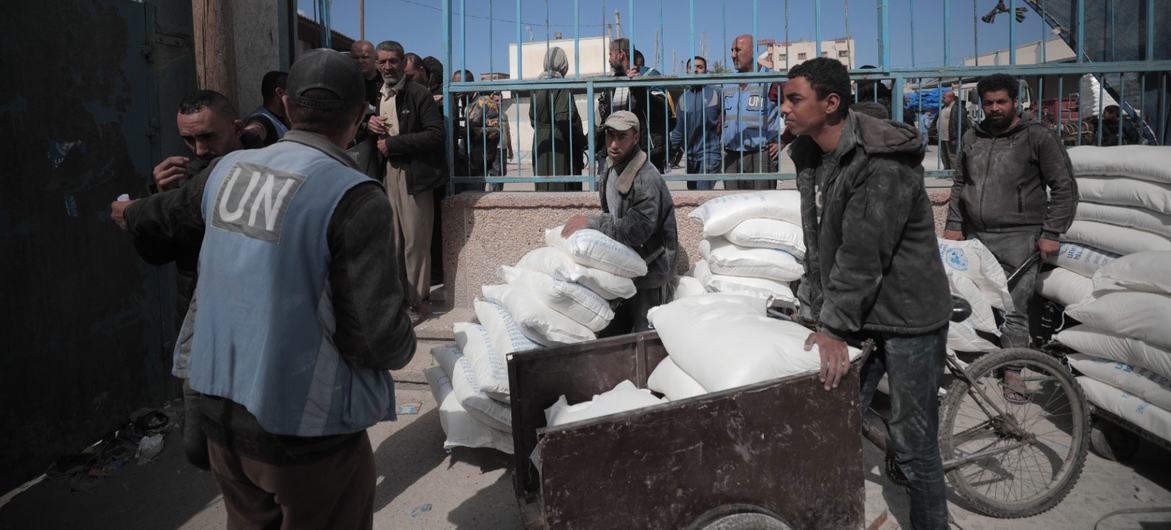 Workers from the UN agency for Palestinian refugees, UNRWA, continue to distribute flour in southern Gaza, but the aid trickling in is not enough to meet current needs.