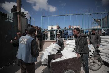 Workers from the UN agency for Palestinian refugees, UNRWA, continue to distribute flour in southern Gaza, but the aid trickling in is not enough to meet current needs.