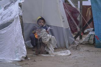 desplazados en un campamento improvisado en Gaza.