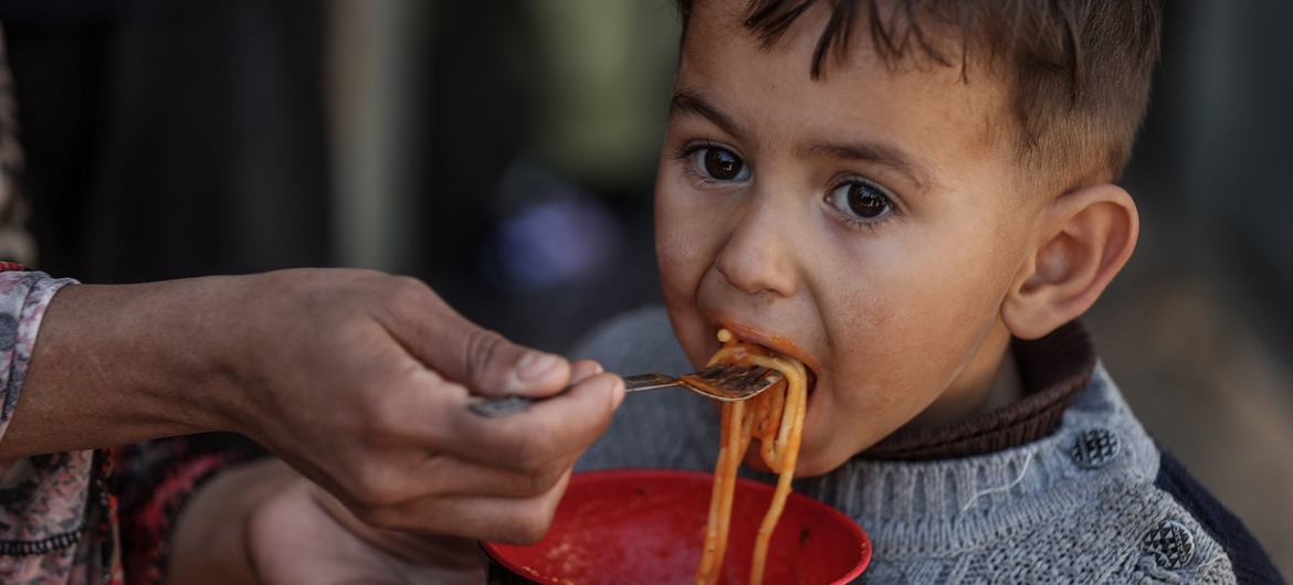 विश्व खाद्य कार्यक्रम अपने छह साझेदार संगठनों के साथ मिलकर ग़ाज़ा पट्टी में परिवारों के लिए भोजन की व्यवस्था कर रहा है.