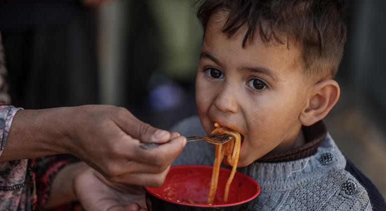 WFP is working with six partners and a network of 74 community-kitchens to deliver over 200,000 hot meals daily to people in southern and central Gaza.
