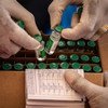 مالي تعمل على توزيع اللقاحات ضد كوفيد-19 مع وصول 396 ألف جرعة عبر مرفق كوفاكس.