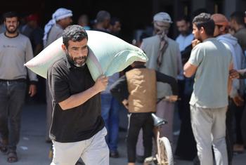 رجل في قطاع غزة يحمل العلف الحيواني الذي قدمته منظمة الأغذية والزراعة.