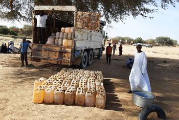 联合国与合作伙伴正在向苏丹西达尔富尔州提供紧急粮食和营养援助。