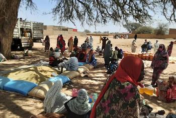 People in West Darfur collect emergency food rations.