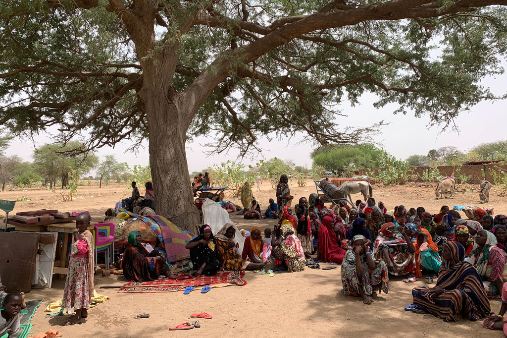 Sudan'daki çatışmalardan kaçan mülteciler, komşu Çad'daki Koufroun köyünde bir ağacın altına sığınıyor.