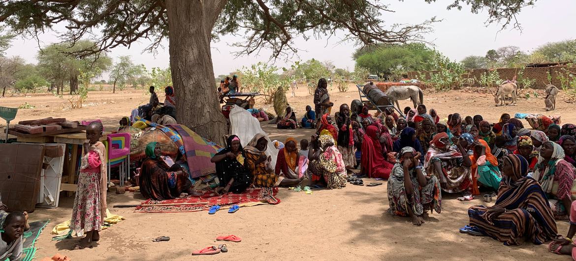 Des réfugiés fuyant le conflit au Soudan s'abritent sous un arbre dans le village de Koufroun, au Tchad voisin.