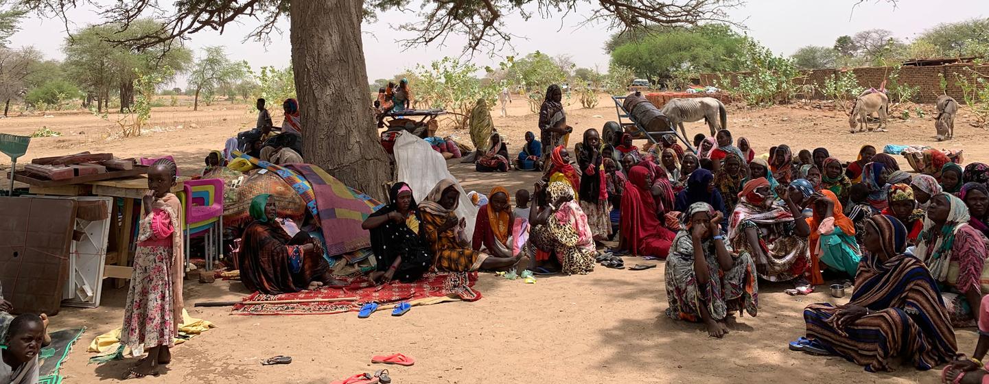 Refugees fleeing the conflict in Sudan seek shelter under a tree in the village of Koufroun, in neighbouring Chad.