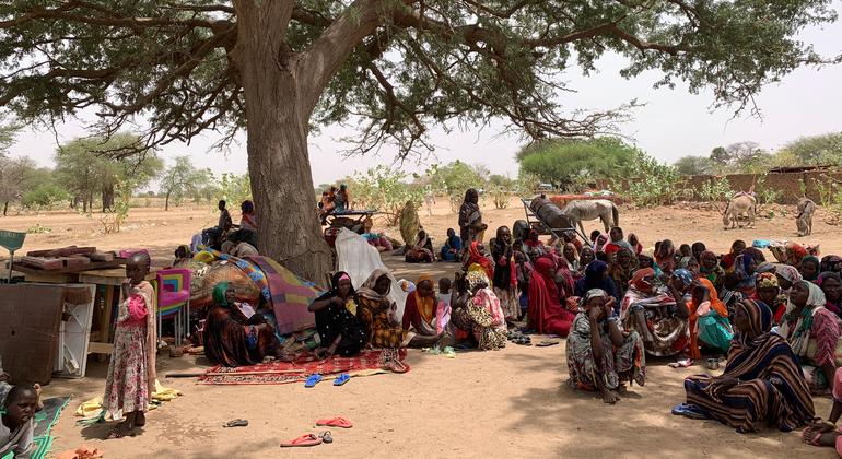 Refugiados huyendo del conflicto en Sudán descansan bajo un árbol en la aldea de Koufroun, en el vecino Chad.