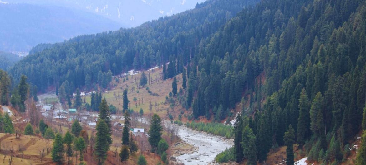 Pahalgam, au Jammu-et-Cachemire.