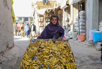 在阿富汗西部的乌鲁兹甘省，一个12岁的失学男孩正在卖香蕉。