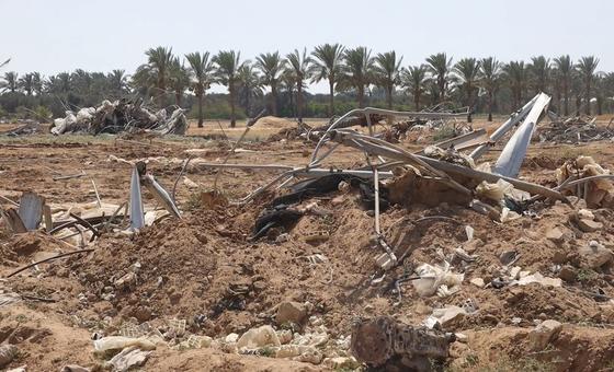 В результате войны земля в Газе стала непригодной для возделывания. 