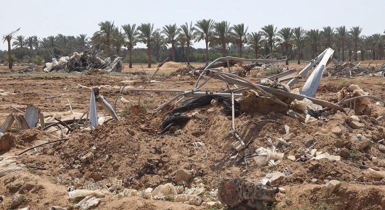 В результате войны земля в Газе стала непригодной для возделывания. 