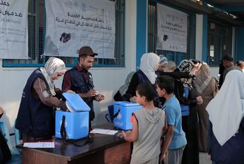 A polio vaccination programme gets underway in the Gaza Strip in September 2024.