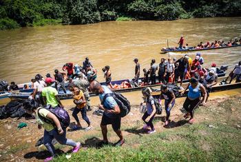 Los migrantes cruzan el río Chucunaque en la selva del Darién.