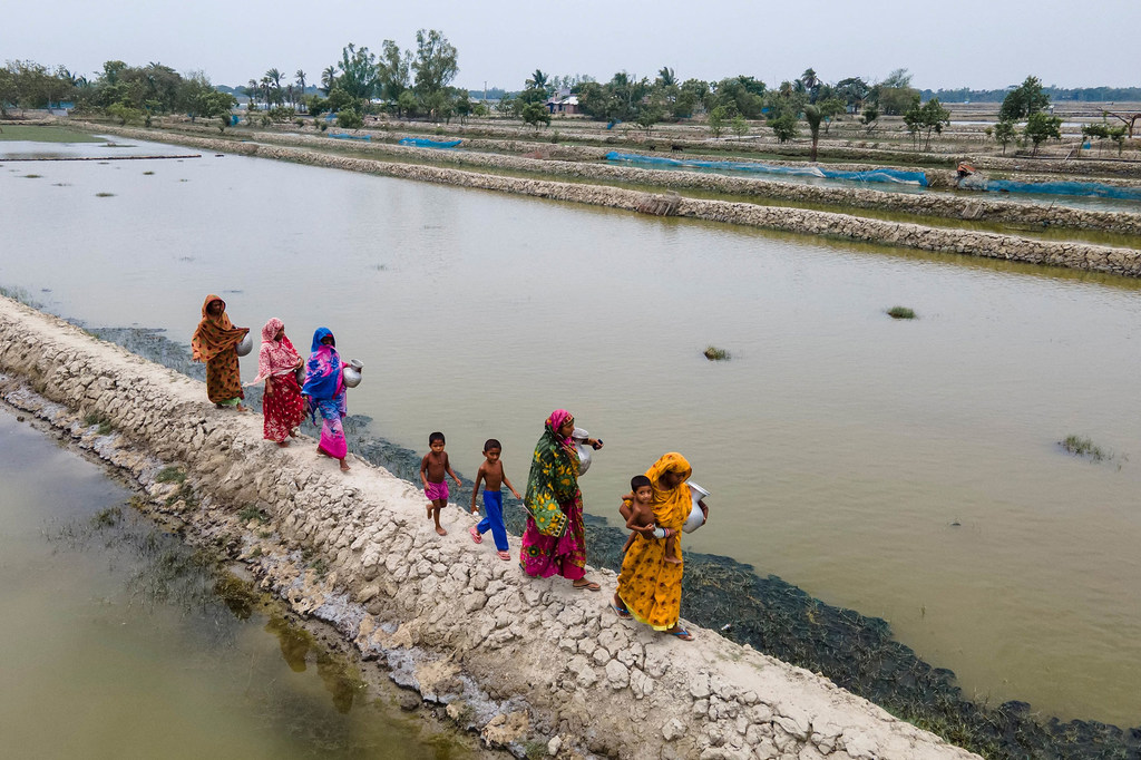 Au Bangladesh, des femmes marchent jusqu'à un réservoir pour collecter de l'eau dans le paysage autrement aride de l'Union de Shyamnagar à Satkhira.