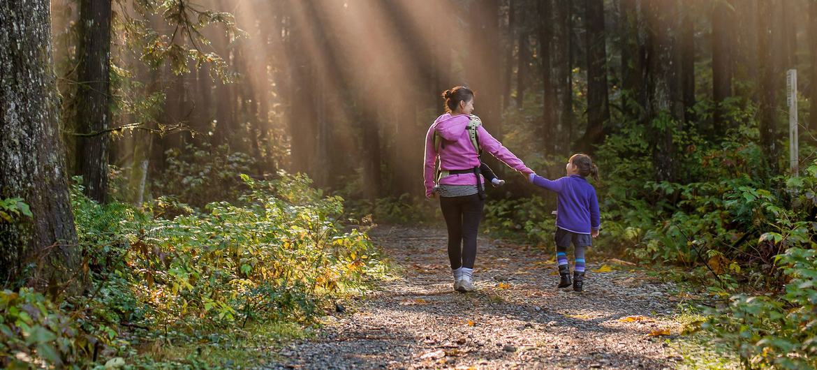 media:entermedia_image:eb4a0a75-d393-4c12-ae11-2ec51f8a09e8