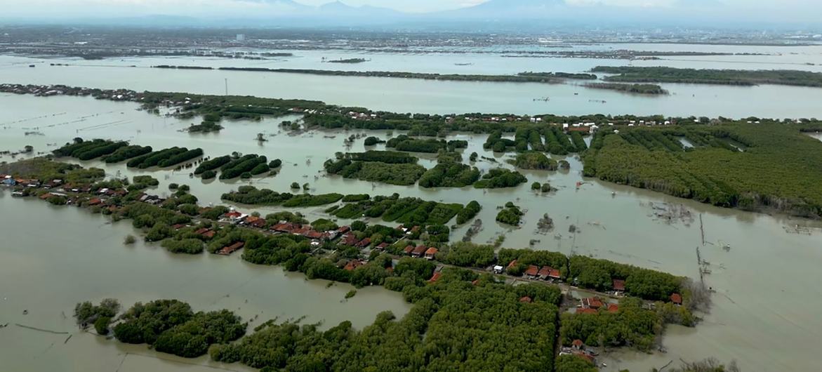 Off Demak’s coast, global warming is driving up sea levels, waves and currents have strengthened, and a protective belt of mangrove forest has been cut back, leaving the area prone to flooding.