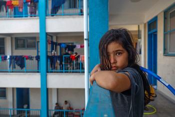 Las escuelas de la UNRWA sirven de refugio a los desplazados de Gaza.
