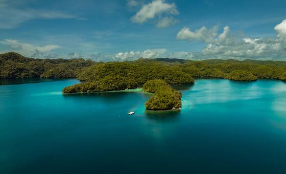 帕劳岛的生物多样性受到海平面上升的威胁.