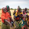 Des femmes de Djoukoulkili, au Tchad – un pays ravagé par les effets combinés du conflit et du changement climatique – participent à un programme de réhabilitation des terres soutenu par le Programme alimentaire mondial (PAM).