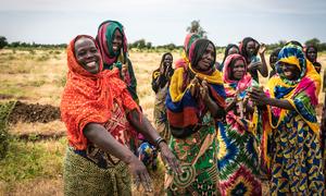 Women in Djoukoulkili, Chad, work to prevent land loss.