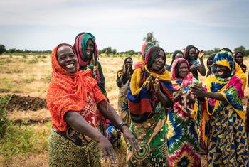 Des femmes de Djoukoulkili, au Tchad – un pays ravagé par les effets combinés du conflit et du changement climatique – participent à un programme de réhabilitation des terres soutenu par le Programme alimentaire mondial (PAM).
