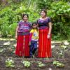 Los agricultores de la comunidad indígena maya de Guatemala reciben ayuda en metálico para prepararse ante las previsiones meteorológicas extremas.