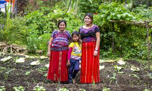 Los agricultores de la comunidad indígena maya de Guatemala reciben ayuda en metálico para prepararse ante las previsiones meteorológicas extremas.