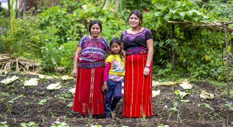 Los agricultores de la comunidad indígena maya de Guatemala reciben ayuda en metálico para prepararse ante las previsiones meteorológicas extremas.