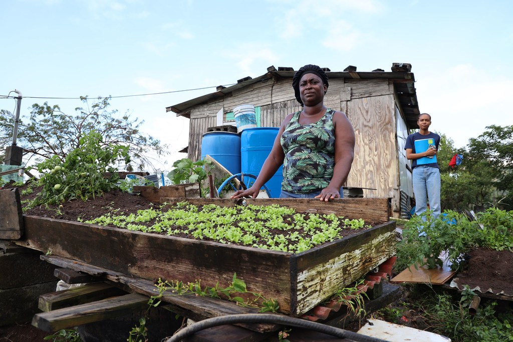 À Saint-Vincent-et-les Grenadines, Viola Samuel est capable de cultiver des légumes dans son jardin grâce à un programme de formation gouvernemental soutenu par le PAM.