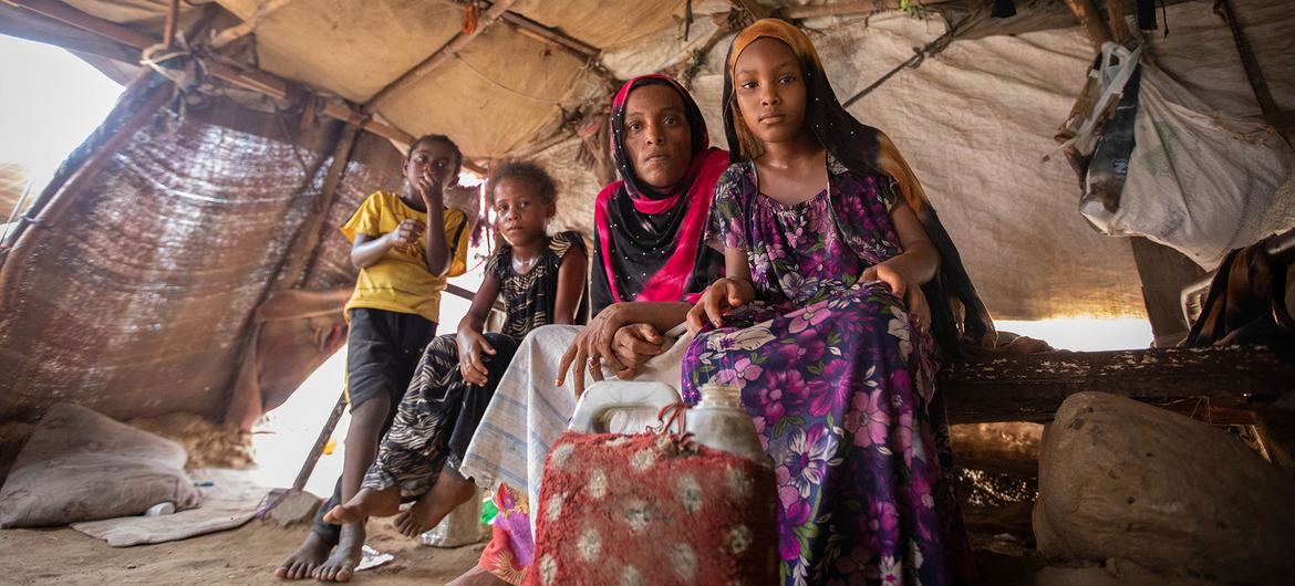 (من الأرشيف) ما تزال العائلات النازحة تعيش في ملاجئ مؤقتة في اليمن.