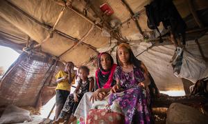 (من الأرشيف) ما تزال العائلات النازحة تعيش في ملاجئ مؤقتة في اليمن.