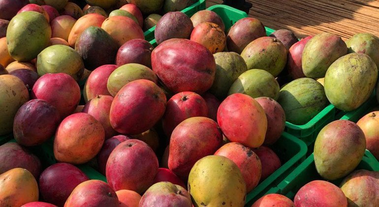 La fruta fresca, como los mangos, procede de agricultores locales de Uganda.