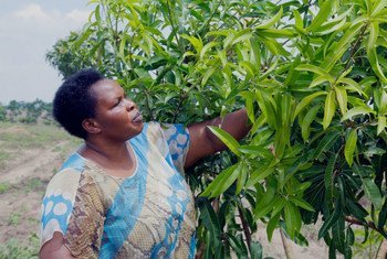 Julian Omalla, femme entrepreneure en Ouganda, a créé une entreprise de jus de fruits frais qui compte plus de cinq millions de clients. 
