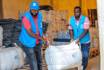 Kenya: Refugees facing ‘lowest ever’ emergency food rations amid funding crisis