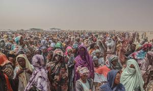 Miles de refugiados llegan de Sudán a Chad.