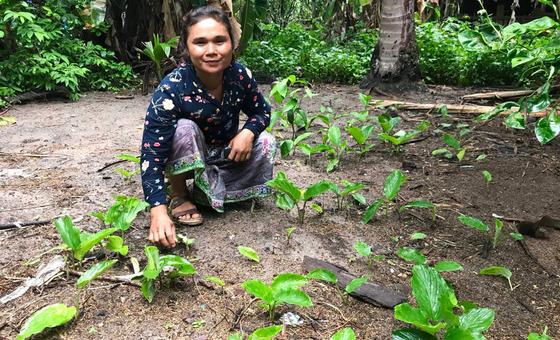 A farmer harvests black ginger, known for its medicinal and endemic properties, in Phnom Kulen, Cambodia.