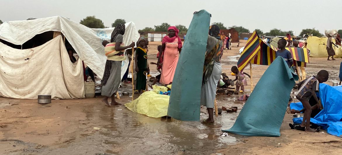 Des réfugiés construisent des abris de fortune pendant la saison des pluies à Adré, dans l'est du Tchad.