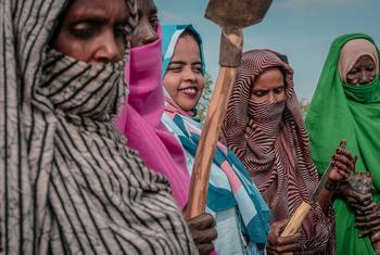  पोर्ट सूडान की महिलाएँ कृषि, व्यापार और आर्थिक अधिकारों के बारे में सीखते हुए.