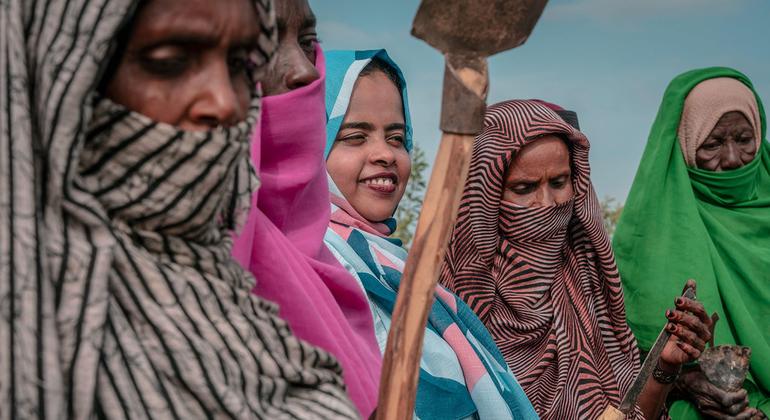 media:entermedia_image:d3852fca-8e4c-4b58-b5df-d471781dd4a8