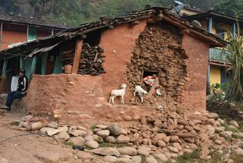 Unicef lembra que metade dos mortos e feridos no terremoto no Nepal são crianças