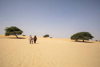 سيدات يسرن في منطقة صحراوية في موريتانيا.