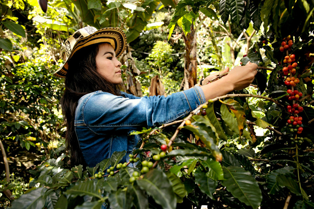 Deyanira Cordoba, productrice de café colombienne, a appris à connaître ses droits économiques et bien d'autres choses grâce à un projet d'ONU Femmes.