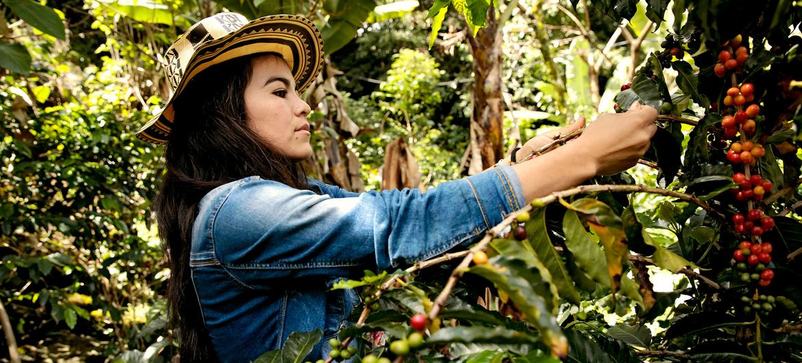哥伦比亚咖啡种植者 Deyanira Cordoba 从联合国妇女署项目中了解了她的经济权利以及更多信息。