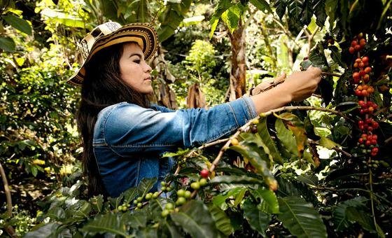 Deyanira Cordoba is one of many coffee-growing women of Tablón de Gómez, in the Nariño region of Colombia.