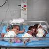 Bebés son atendidos en incubadoras en Rafah, en el sur de la Franja de Gaza. (archivo)